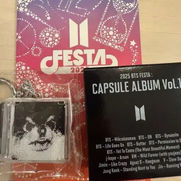 2025 BTS FESTA CAPSULE ALBUM V LAYOVER