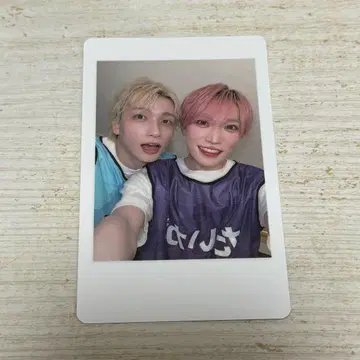 팬더드래곤 해피카 요우타 타이거 혼합