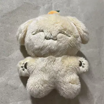 fromis_9 규리 봉제 인형 귤 강아지