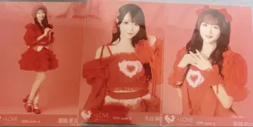 이퀄러브 브로마이드 토쿠베츄