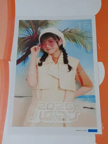 마츠모토 와카나 하로!콘 2025 컬렉션 핀업 포스터