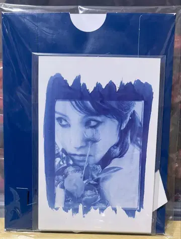 LiSA 엽서 8매 세트