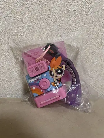 [미사용 새상품] 파워퍼프걸 파샤피카 카메라 키링