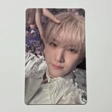 &TEAM 5월의 장마 weverse 글로벌 사인회 트레이딩 카드 유우마