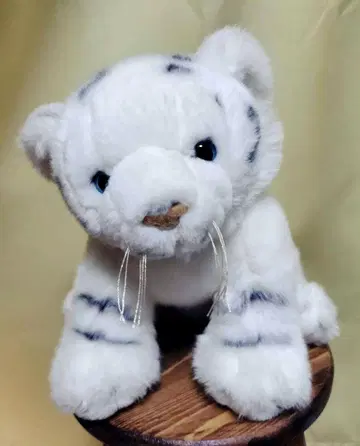 화이트 타이거 봉제 인형 싱가포르