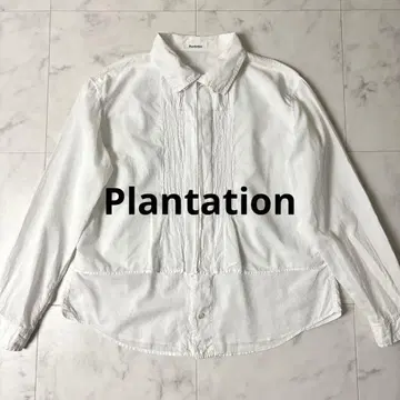 Plantation 핀턱 이중 깃 긴팔 셔츠 블라우스 M 화이트