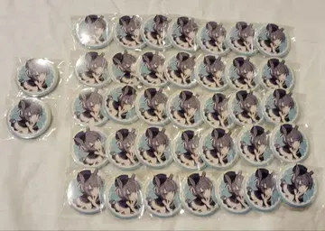 Crazy Raccoon CR 페스티벌 2025 캔뱃지 CRFES Ade