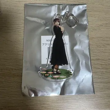 노기자카 아크릴 키링