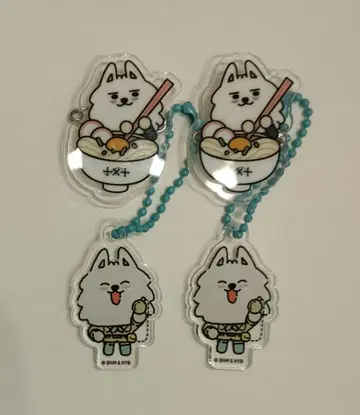 TXT 풀파두 카가와 아크릴 배지 아크릴 키홀더 용몽