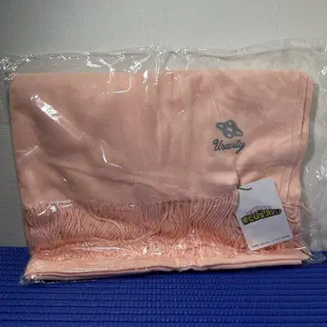 나의 히어로 아카데미아 오챠코 스톨
