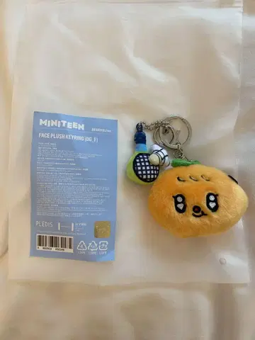 SEVENTEEN 승관 MINITEEN 팝업 키링