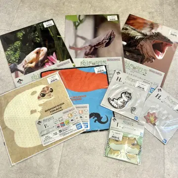 도마뱀 세트 파충류&양서류 1번 복권 F상 G상 H상 I상