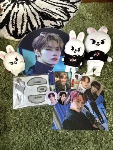 Straykids 리노 트레이딩 카드 굿즈 세트