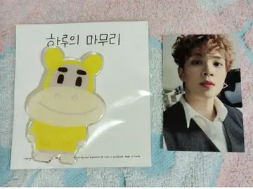 N.Flying 페승 Hamang Smart Tok 트레이딩 카드 포함