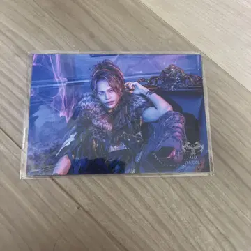 MOUSE PEACE FES. 2024 1st Bite 사진 세트