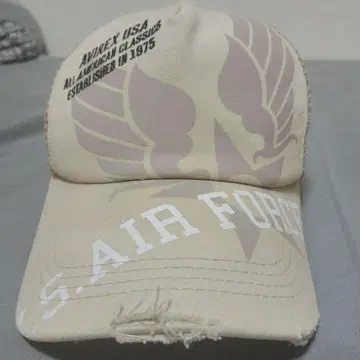 AVIREX U.S. AIR FORCE 메쉬 캡