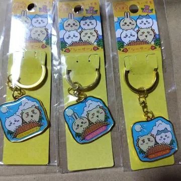 치이카와 오키나와 키링 시사