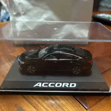 ACCORD 블랙 미니카