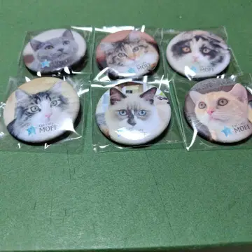 catcafemoff 이온몰 하마마츠 시토로 고양이 카페 가챠가챠 캔뱃지