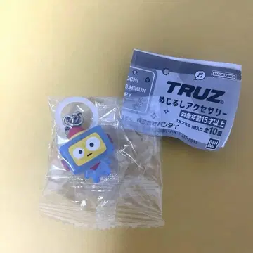 TRUZ HIKUN 메지루시 액세서리 TREASURE 아사히