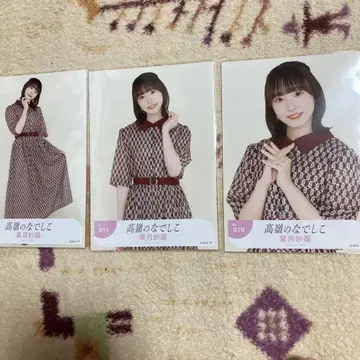 높은 산의 나데시코 하즈키 사라 레트로 컴프