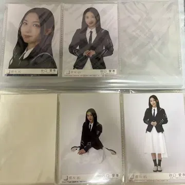 타니구치 아이리 사쿠라자카46 브로마이드 사쿠라즈키 동봉 4종 컴프