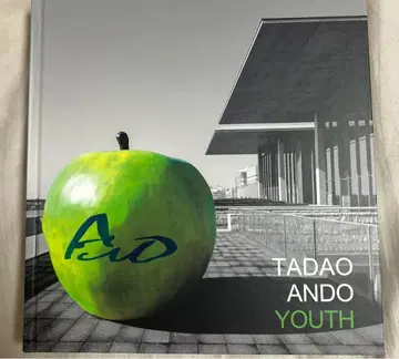 안도 타다오 VS 청춘전 한정 판매 TADAO ANDO 친필 사인 포함