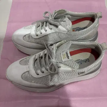 C allaghan 칼라한 23.5