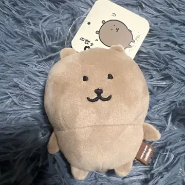 햇볕에 탄 나가노의 곰
