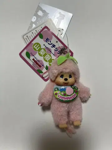 야마나시 몬치치 복숭아