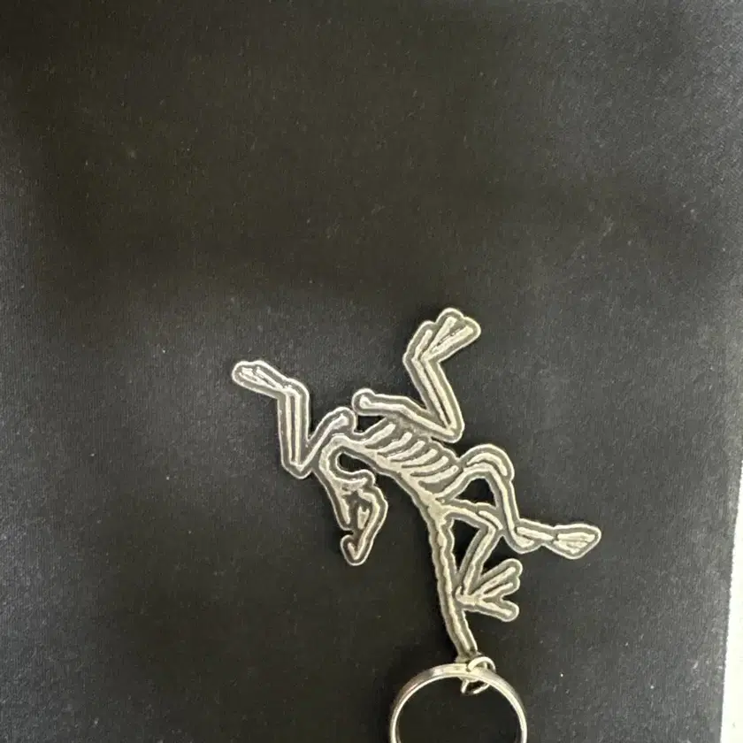 【Arc'teryx】Keyring l ARC'TERYX | 아크테릭스 Authentic Arc'teryx Key Ring, New