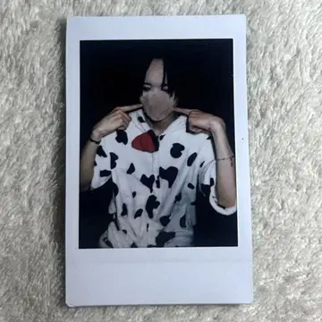 세이브포인트 유키 폴라로이드