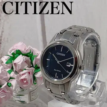 여성용 손목시계 시티즌 CITIZEN 블랙 다이얼 브랜드 기프트 2059
