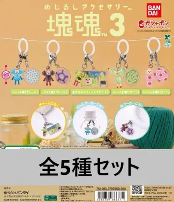 전 5종 컴프 메지루시 액세서리 3