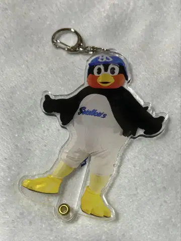 츠바쿠로 포토 프롭스