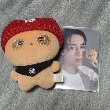 THEBOYZ 선우 봉제 인형