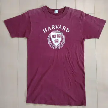 챔피온 T셔츠 트리코 태그 M 미국제 하버드 HARVARD