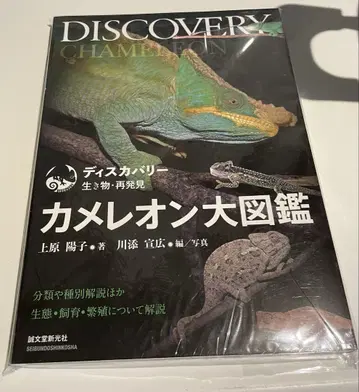 카멜레온 대도감 DISCOVERY