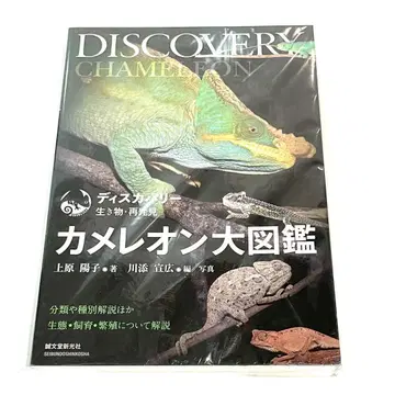 카멜레온 대도감 DISCOVERY