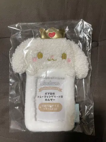 JOCHUM RURU 트레이딩 카드 케이스