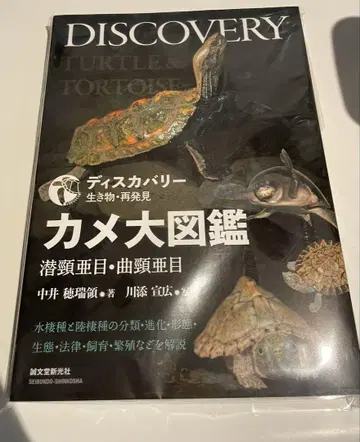 디스커버리 거북 도감