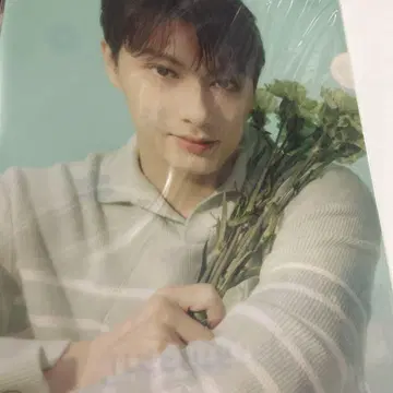 SEVENTEEN 준 HANABI 팬미팅 클리어 파일 세븐틴