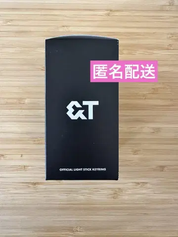 &TEAM Official Light Stick 키링