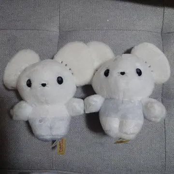 포켓몬 너로 정했다! 포켓몬 겟 봉제인형 와카네즈미