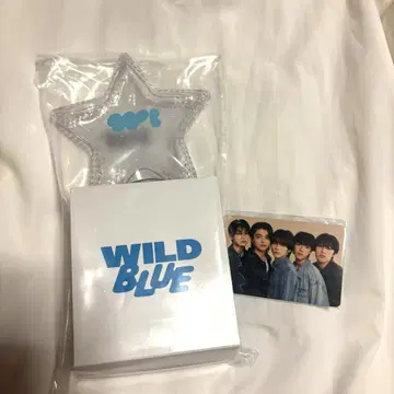 WILDBLUE 응원봉