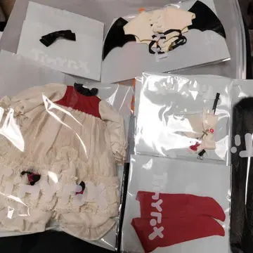 TinyFOX 카산드라 디폴트 아웃핏