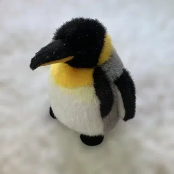 펭귄 봉제 인형 본체