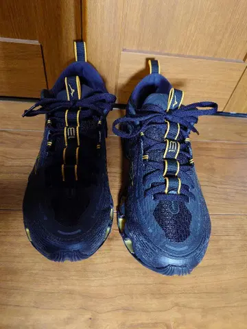 Mizuno Wave Prophecy 26.5cm