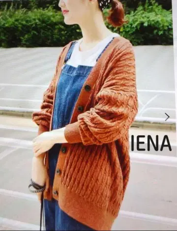 IENA 이에나 체인 패턴 V넥 가디건 울 브라운