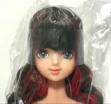 리카짱 캐슬 제니 프렌드 오타노시미 인형 사야카